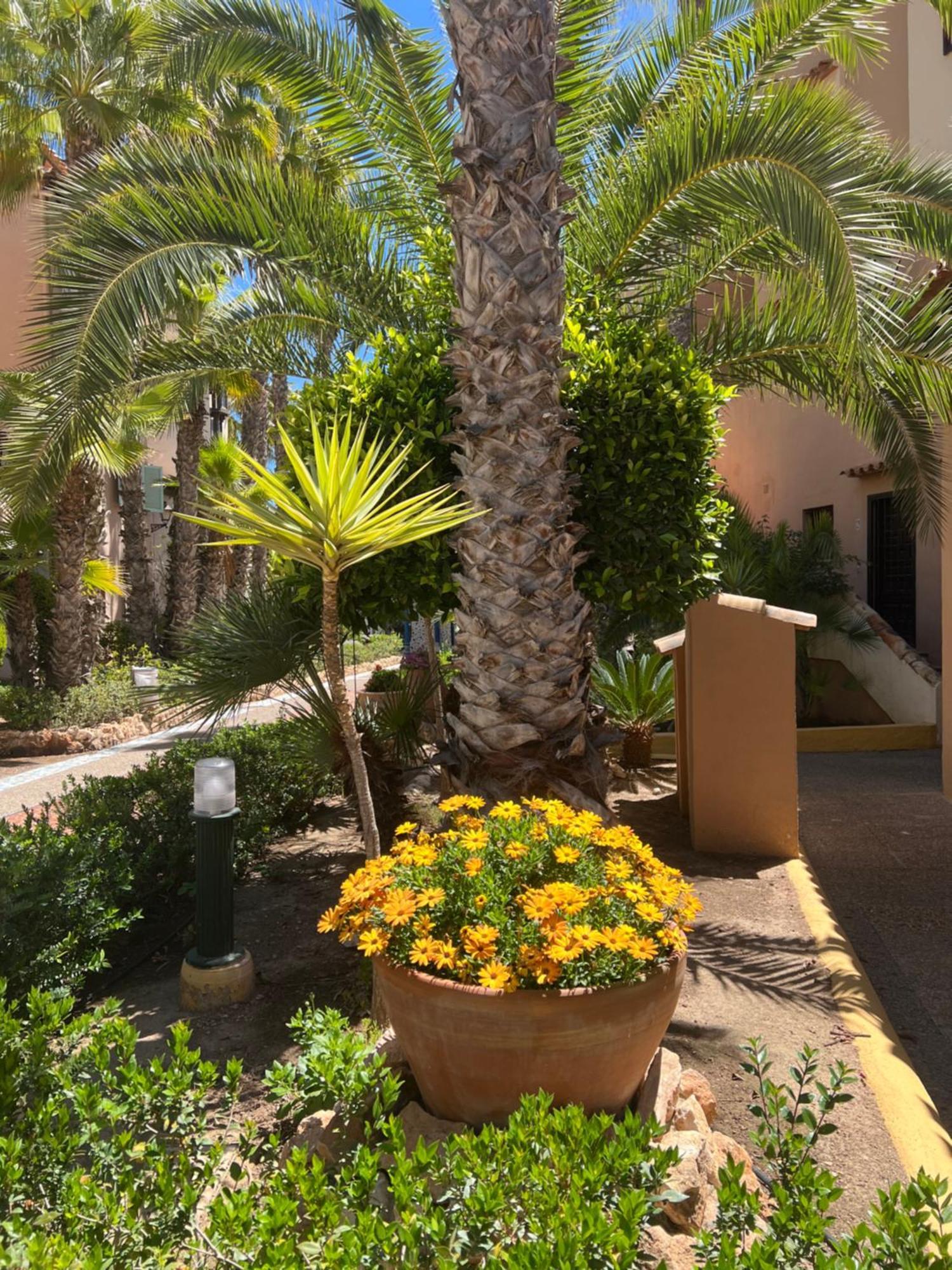 شقة Casa Al Mare Aldea تورّيفيِخا المظهر الخارجي الصورة
